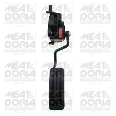 Accelerator Pedal Unit
